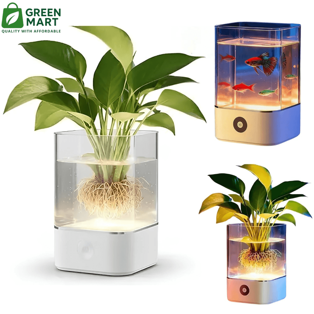 Light Aquarium