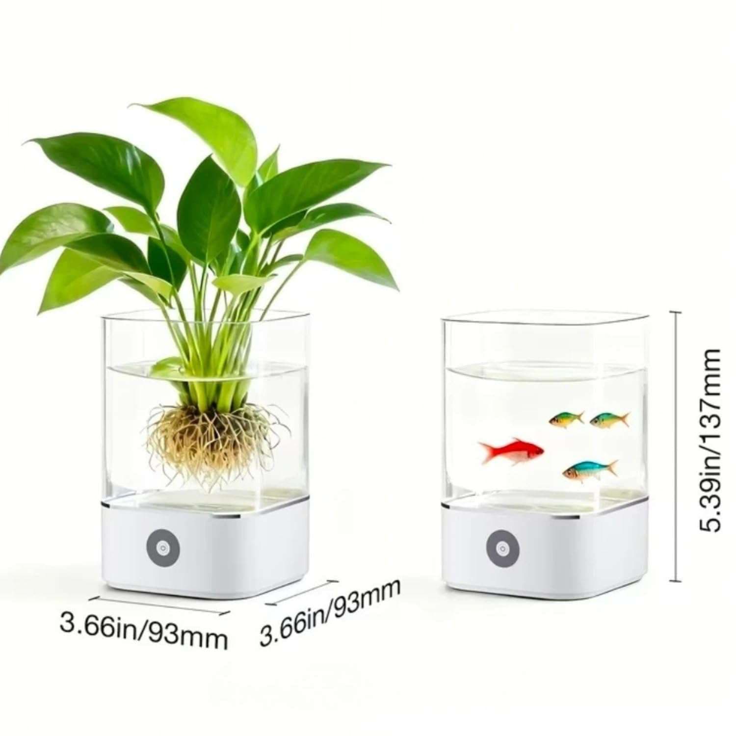 Light Aquarium 5