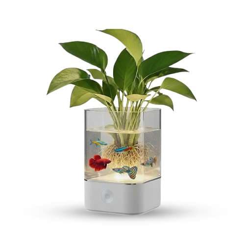 Light Aquarium 7